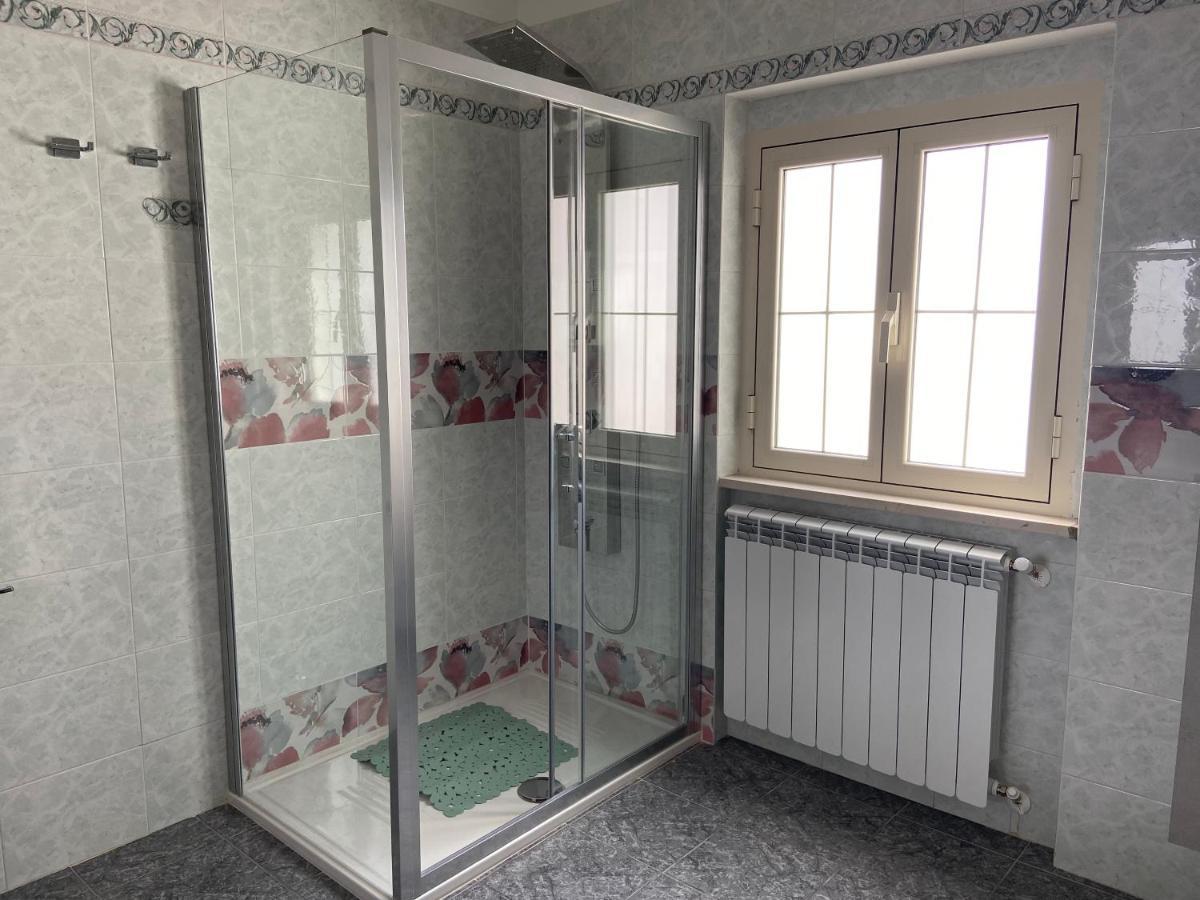 Sunderville Superior بيسْكيتْشّي المظهر الخارجي الصورة